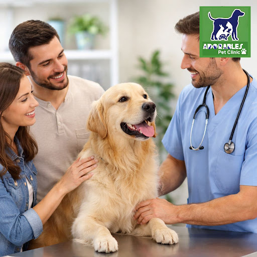 At Adorables Pet Clinic in Banjara Hills, Hyderabad, we know that real pet care starts with trust… post image