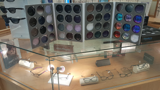 Focus Optics - Visual