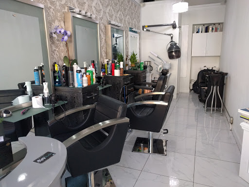 Katty Studio
