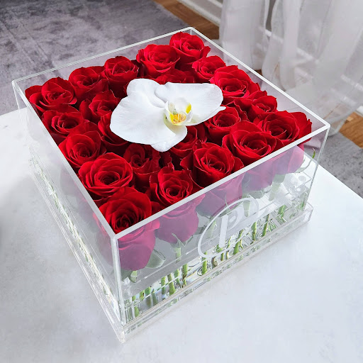 Privé Roses - Visual