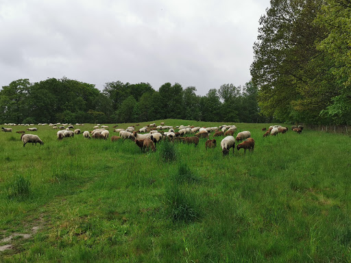 Mühlenberg - Thumbnail