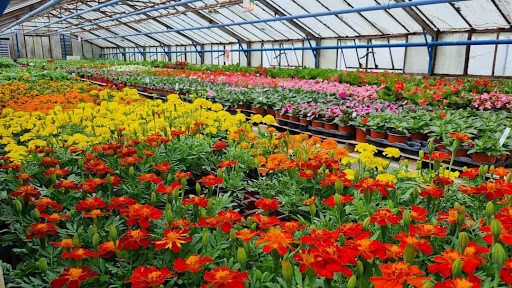 Burg Sandrine Horticulture