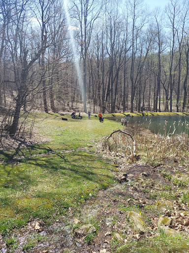 Pine Lodge - Visual