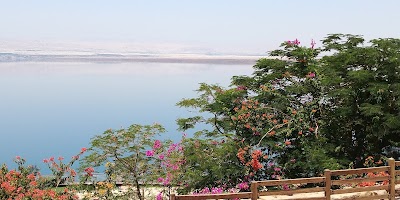 Photos of Hotel Jordan Valley Marriott Dead Sea