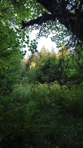 Etang de la fabrique - Thumbnail