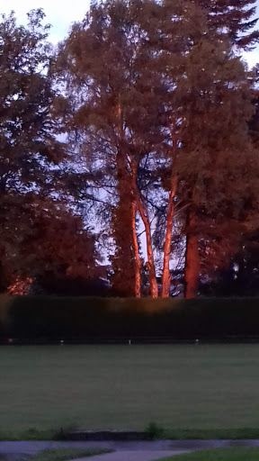 Blackwood Bowls Club - United Kingdom