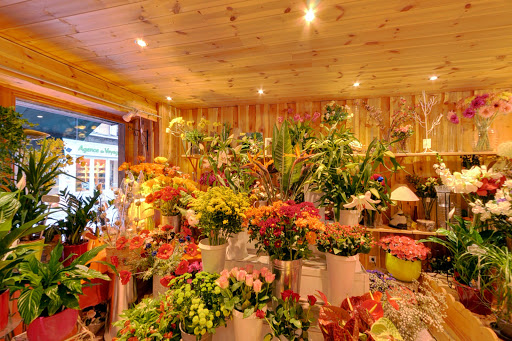 Les Glycines - Fleuriste à Barcelonnette - Thumbnail