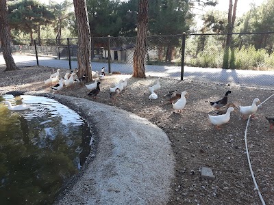 Usak Zoo