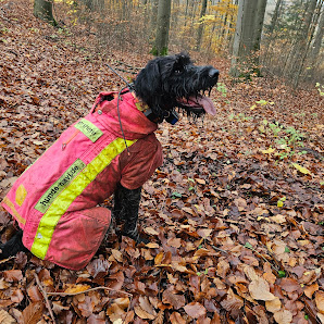 Hunde Navi Freiherr-vom-Stein-Straße 5, 34626 Neukirchen
