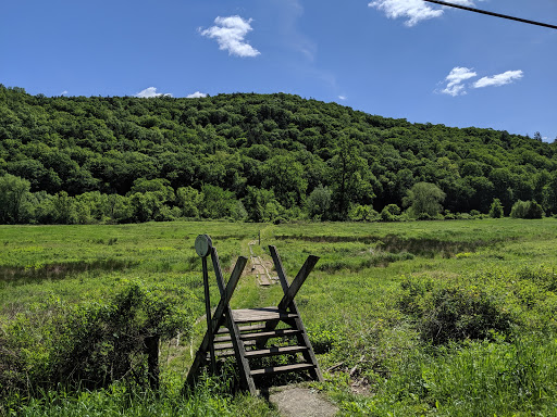 Pond Mountain Natural Area - Thumbnail