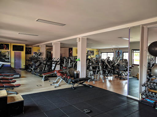 Gym Free Time