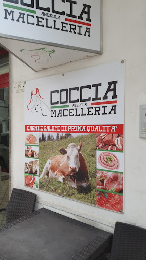 Coccia - Visual