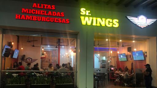 Sr. Wings - Visual