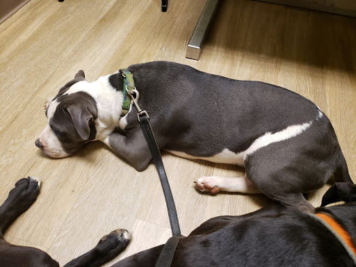 Hernando Animal Clinic