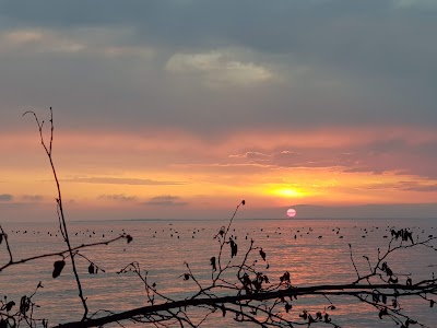 Spiaggia naturista