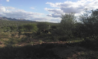 Photos of Airport Lodge Namibia