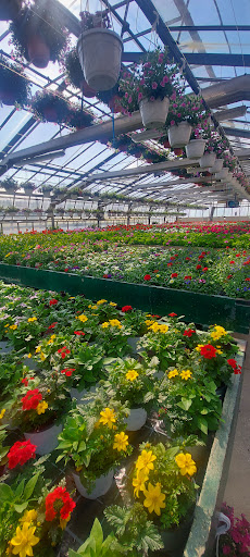 Floricoltura Benigni - Thumbnail