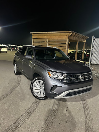 Will Auto Detail
