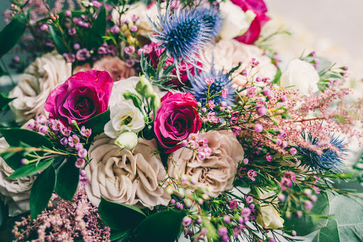 BLUSH + STEM - Visual