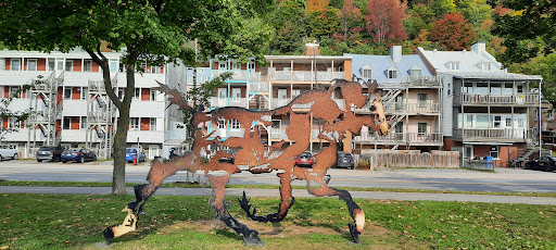 The Horse Gallery - Canada