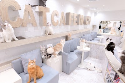 猫カフェMOCHA(モカ)町田ジョルナ店