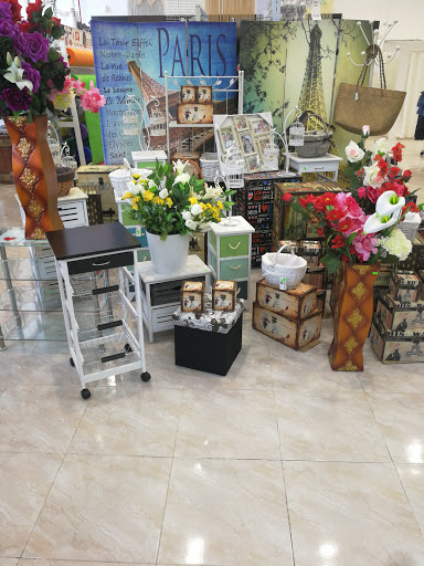 stella store - Visual