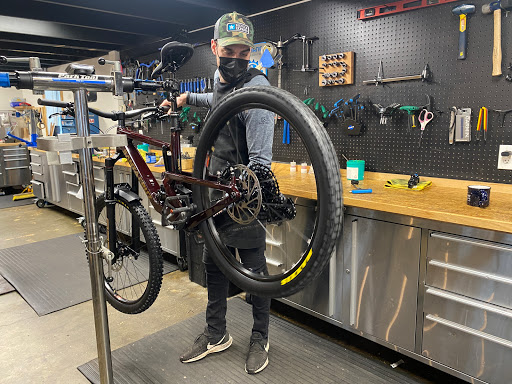 Bicycle Express - Visual