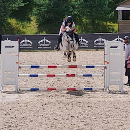 Photo n°23 de Ecuries de Suisnes Poney Club à Grisy-Suisnes (Centre équestre)