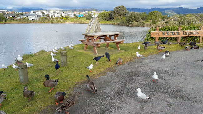 Reviews of Waimanu Lagoon in Waikanae - Parking garage