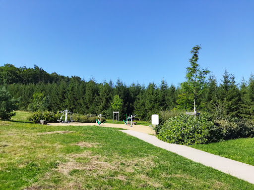 Terrain de Jeux du Parc du Bruissin - Thumbnail
