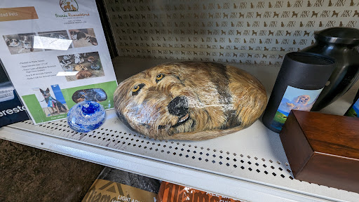 West Yukon Animal Hospital Gallery - United States