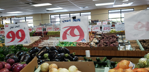 Verdi Fresh Gallery - United States