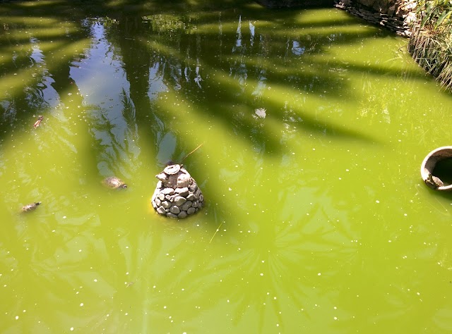 Jardín Huerto del Cura