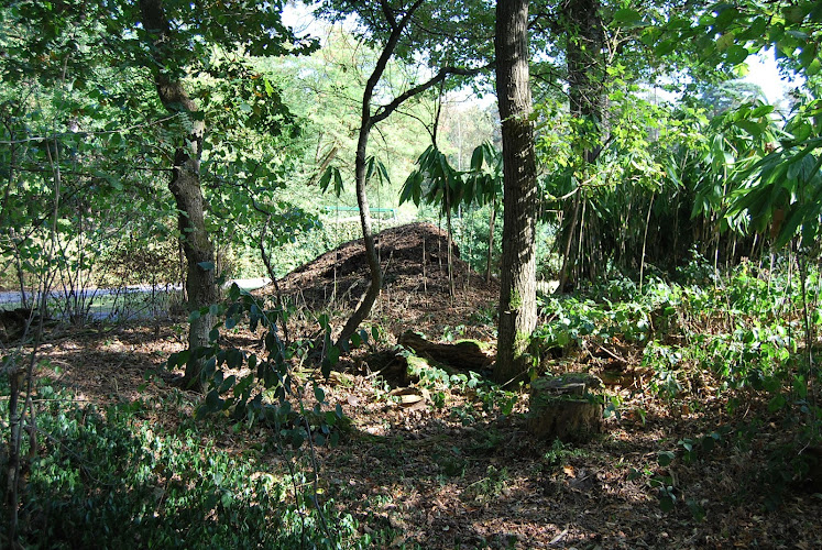 Heilpadagogische Kinderhilfe und mehrmediale Therapie e.V.