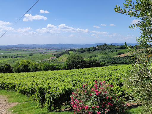 Az. agricola e Agriturismo da Toni Biseo - Thumbnail