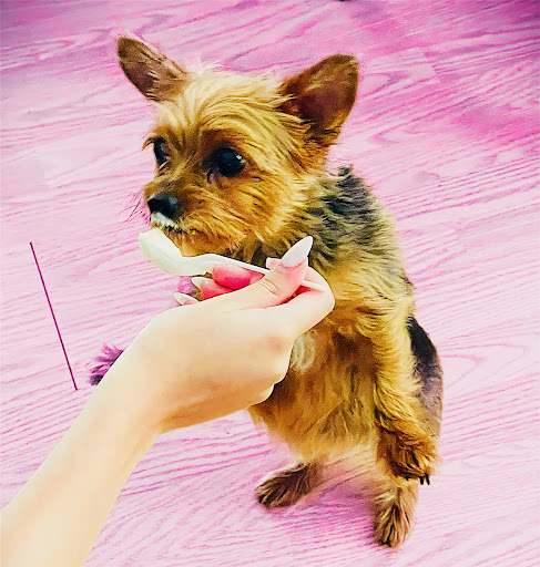 Best Friends Veterinary Clinic