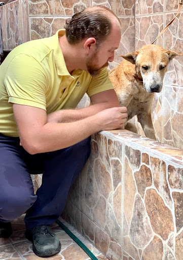 Veterinaria Mi Mascota Feliz