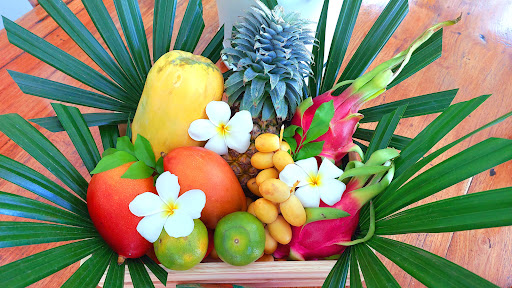 Orchid Lodge Samui