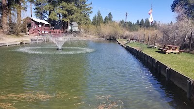 Tahoe Trout Farm