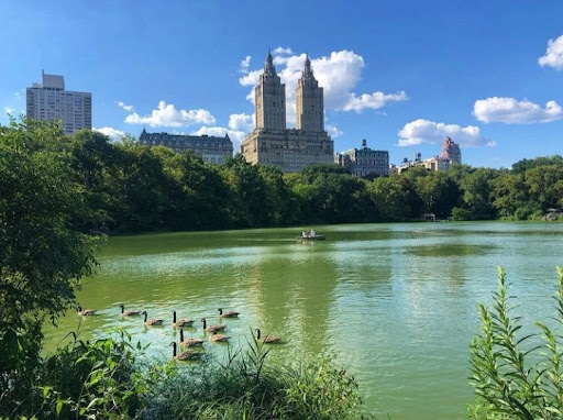 Central Park North (110 St) - Thumbnail