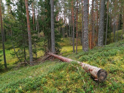 Ievērojamu vietu apskate