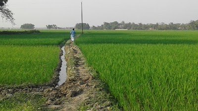 Photos of Sindur Pur Bus Stop