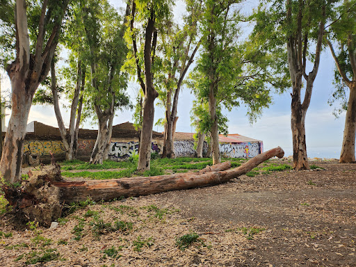 Baños del Carmen Park