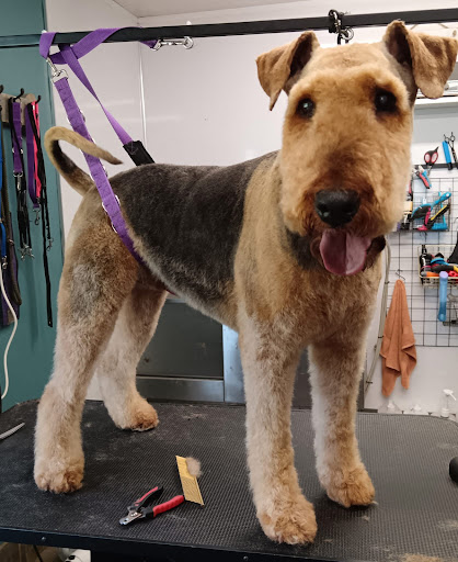 Loki & Lexi’s Grooming Spa