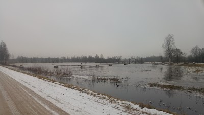 Photos of Soomaa National Park