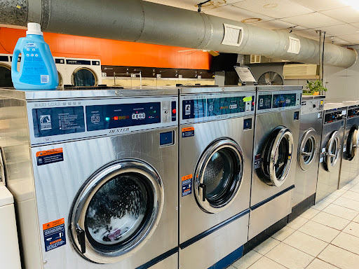 Bertha Laundry - Visual