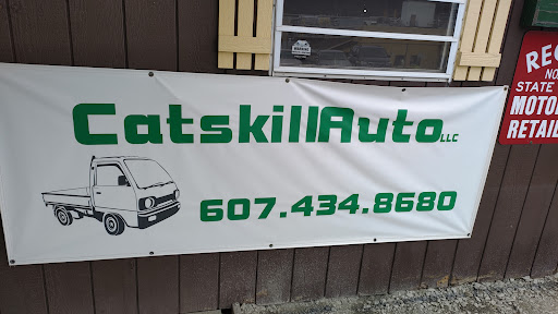 Catskill Auto - Visual