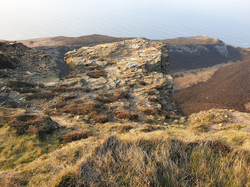 Moss Seat - Thumbnail