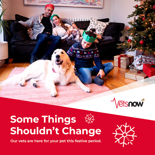 Vets Now Gateshead - Thumbnail