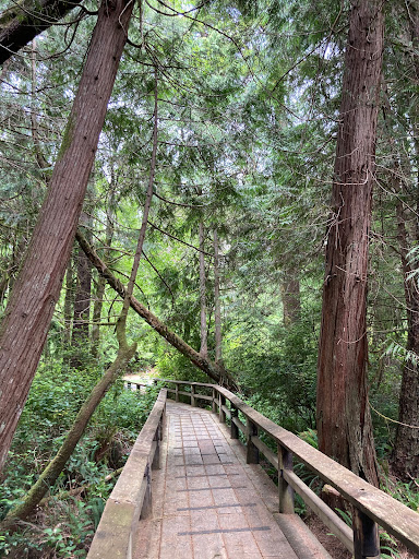 Sutton Campground - Visual
